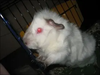 casper.webp