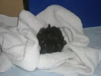 DSCF4249.webp