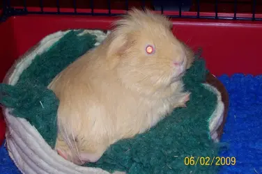 Do you think I'm cute!.webp