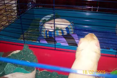 I want to be in there! Let me in!.webp