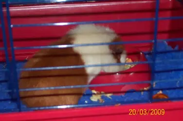 000_0009.webp
