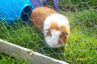 000_0030.webp