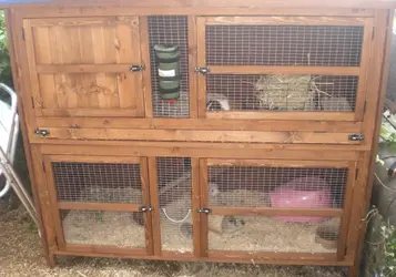Hutch.webp Hutch.webp