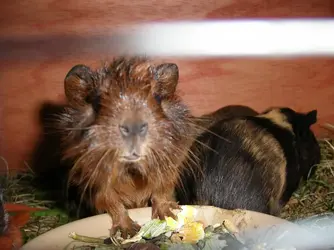 Picture 004.webp