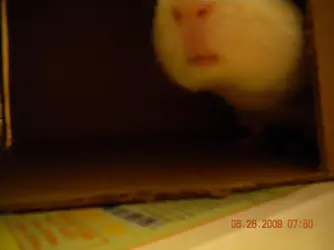 more randomness 188.webp