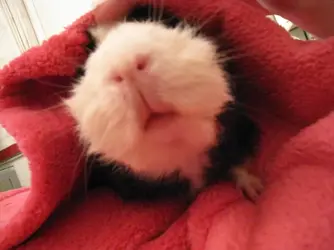 IMG_0572.webp