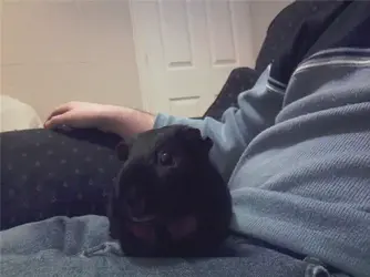 Jake lap.webp