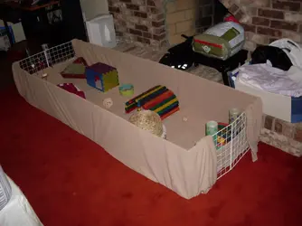 Bild 440.webp