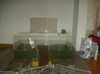 IMGP1981.webp