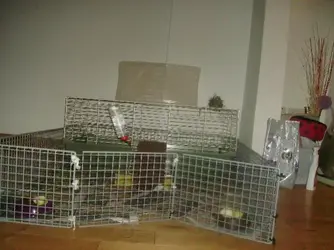 IMGP1982.webp