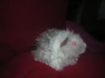 DSCN3362.webp