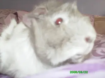 PICT0045.webp