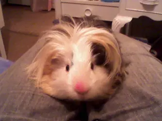 Photo-0114.webp