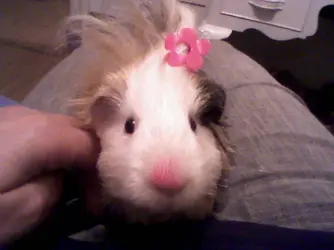 Photo-0109.webp