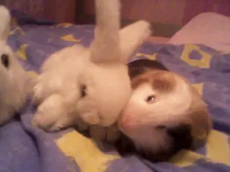 Photo-0145.webp