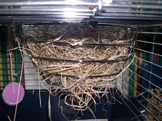 DSCN2209.webp