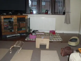 DSCF6593.webp