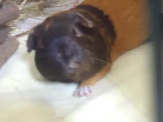 DSCF6548.webp