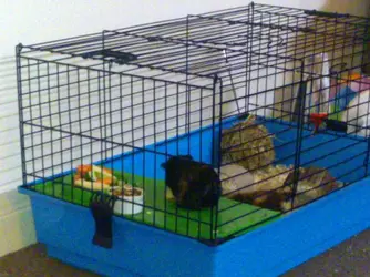29072010618.webp