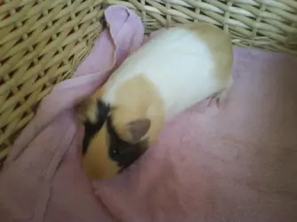 DSC00225.webp