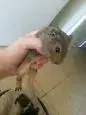$_74 (19).webp $_74 (19).webp