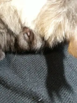 20181222_191824[1].webp