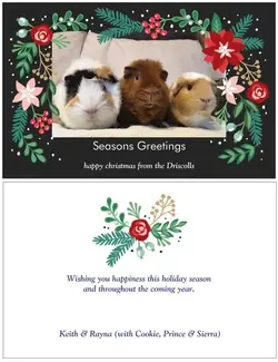 XMAS2018.webp
