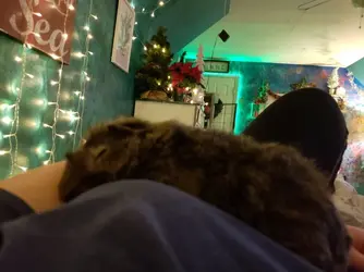 20181206_001138.webp