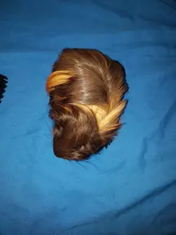 20190104_202335.webp