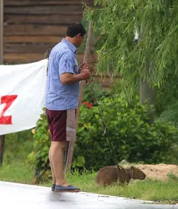 Capybara_1.webp