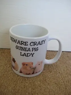 Crazy pig Lady Mug.webp