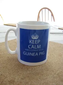 Piggie Mug.webp