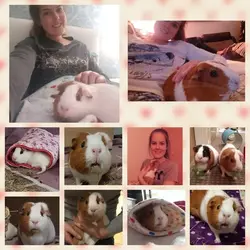 2019-01-19_09.12.13.webp