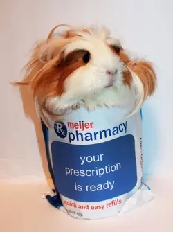 3C20C2DB-9586-429E-8FDA-7708335F9E06.webp