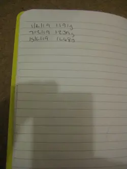 Weights Betsy 2.webp