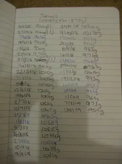 Weights Dennis.webp