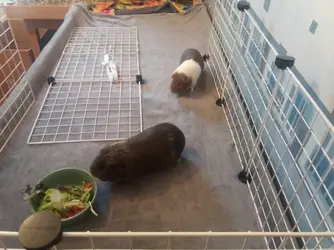 20190224_100327.webp
