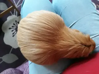 20190303_104524.webp