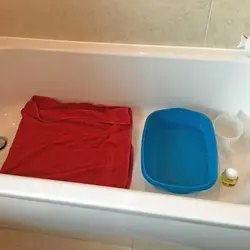 Bathing-2 setup_edited-1.jpg Bathing-2 setup_edited-1.jpg