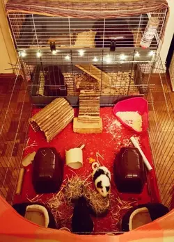 IMG_20190328_234223.webp