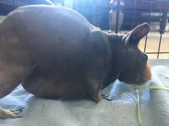 110228