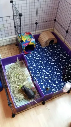 20190404_162315.webp