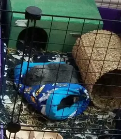 2019-04-20 09.11.27.webp