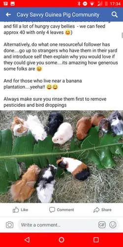Screenshot_20190424-173424.webp