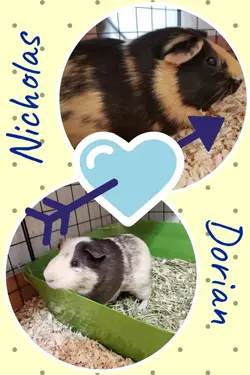 dorian&nicholas.webp