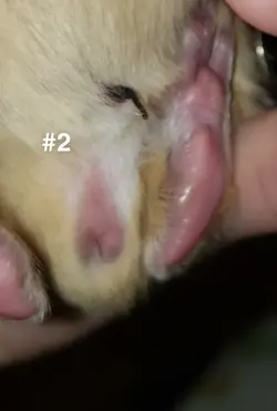 Snapchat-1387926250.webp