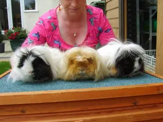 Gerri, Guy & Manny.webp