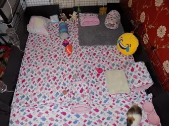 DSCN4047.JPG