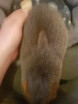20190520_211529.webp