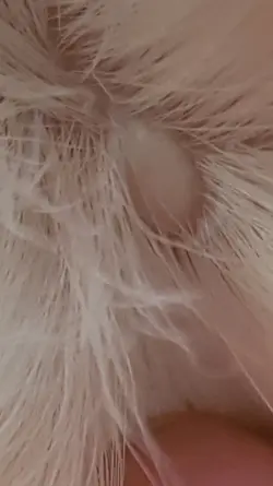 Screenshot_20190524-180317_Gallery.webp
